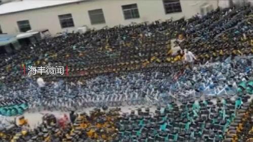 最新海丰爆料,揭秘背后惊人真相 第1张 最新海丰爆料,揭秘背后惊人真相 第1张