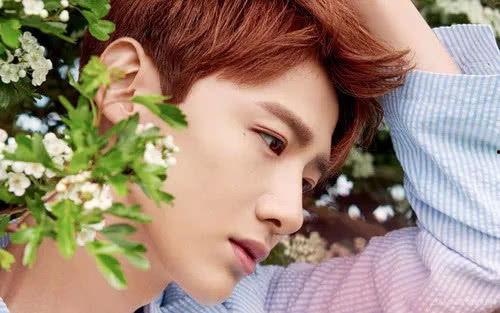 娱乐八卦每日爆料白敬亭,娱乐圈再掀波澜 第2张 娱乐八卦每日爆料白敬亭,娱乐圈再掀波澜 第2张