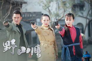 电视剧野山鹰在线观看,烽火岁月中的英雄传奇  第3张